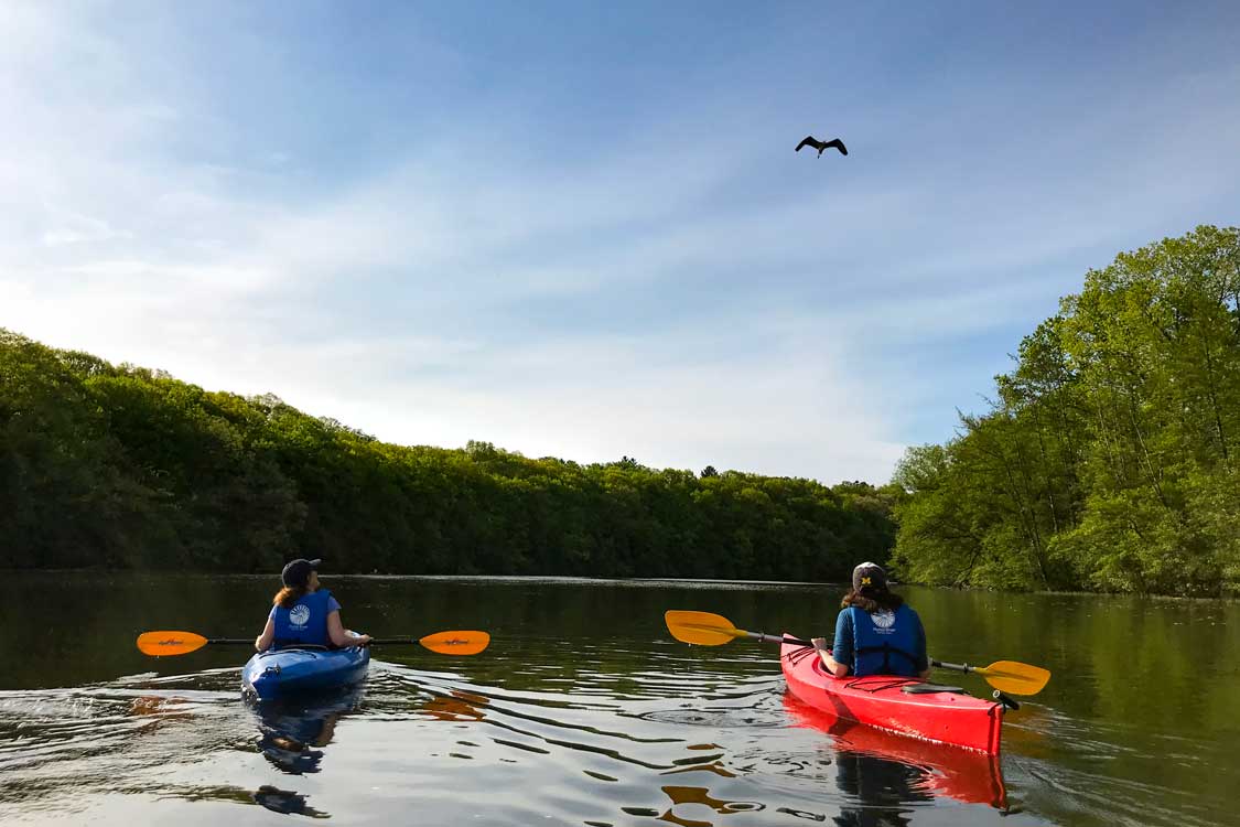 Paddling the Barton Nature Area, Ann Arbor